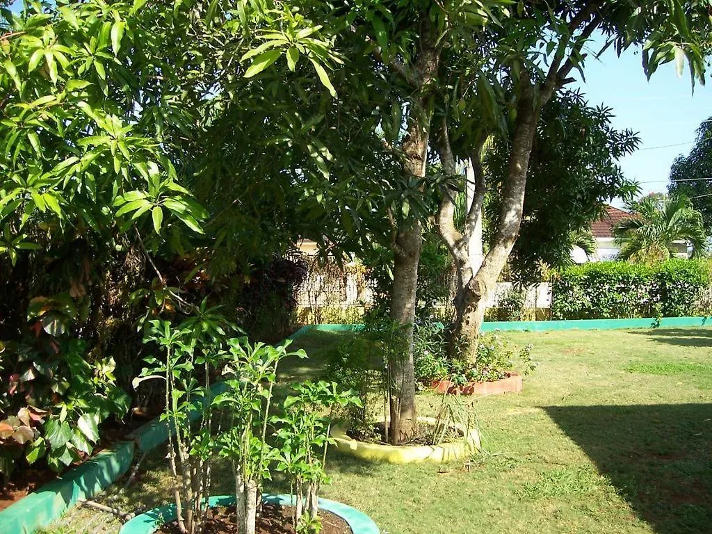 Almond Tree Villa Ocho Rios Homestay szállás